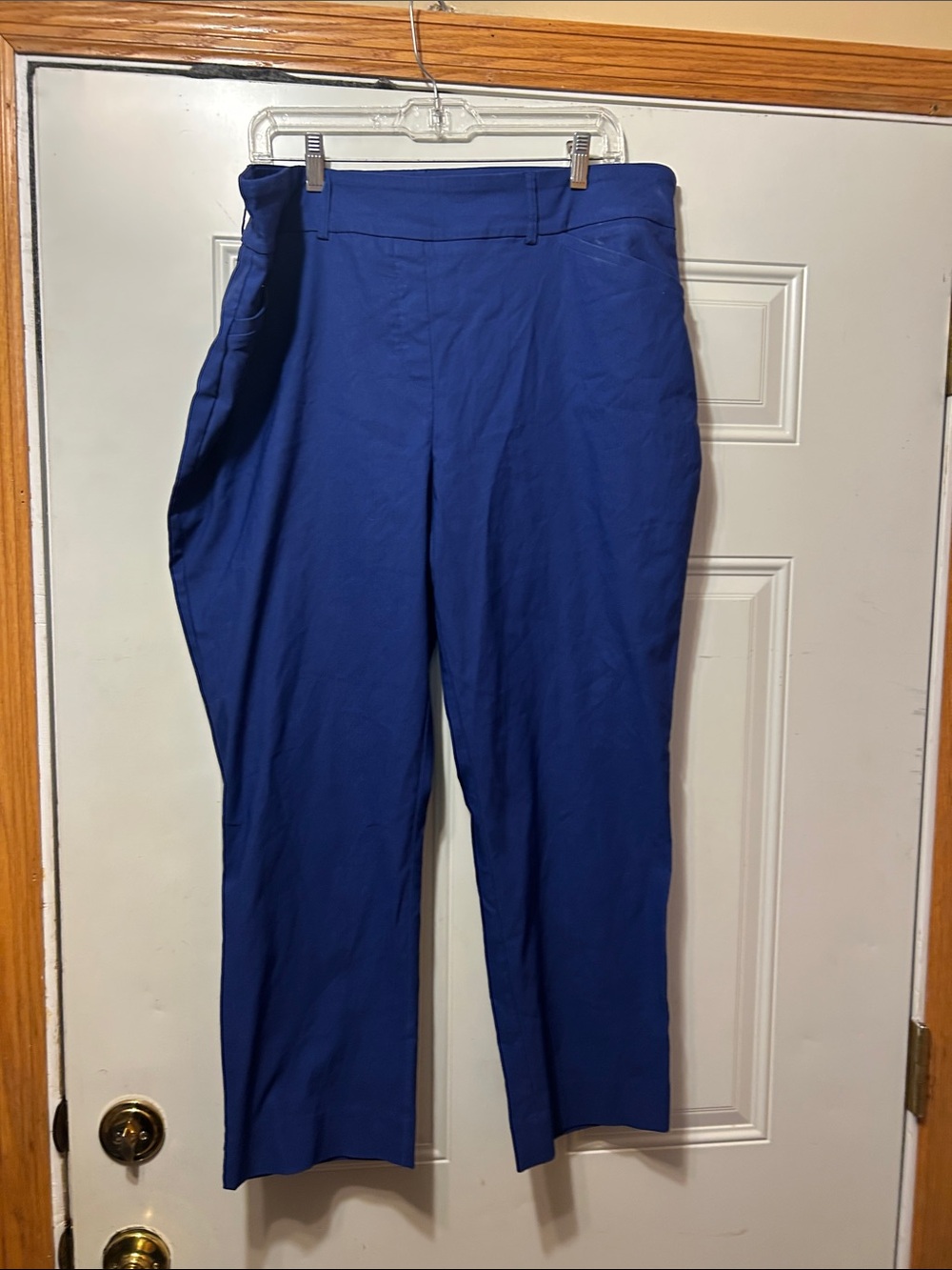 Hillary Radley Royal Blue‎ Dress Pants XXL